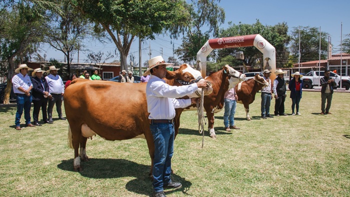 GOBIERNO REGIONAL DE LAMBAYEQUE IMPULSA EL DESARROLLO PRODUCTIVO Y NUTRICIONAL CON EL RESPALDO A LA XXV FERIA GANADERA INTERNACIONAL 2025