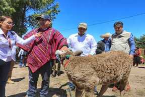 Imagen 4 de Gobernador Jorge Pérez inaugura obras de saneamiento y educación por 6 millones de soles en Marayhuaca